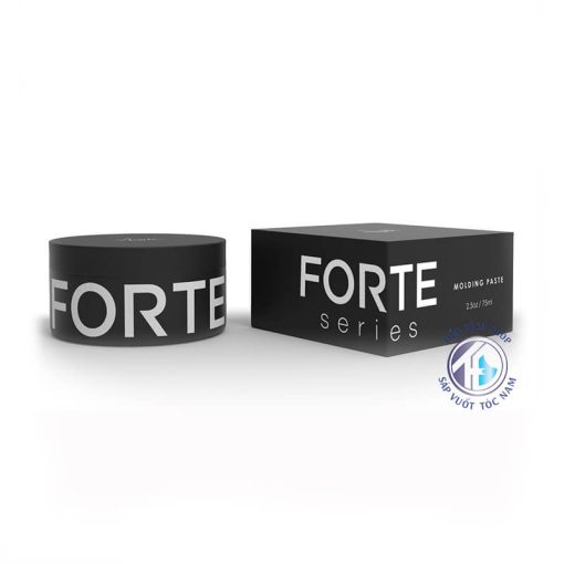 Forte Series Molding Paste 75ml