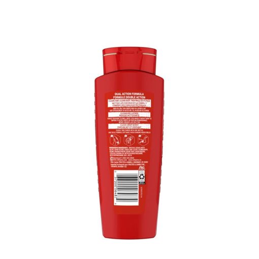 Old Spice High Endurance 2in 1