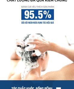 Dashu Daily Anti-Hair Loss Scalp Shampoo Hàn Quốc