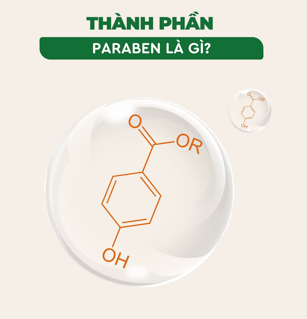 Paraben trong dầu gội là gì